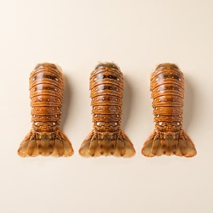 Queue de langouste (carton 20X225gr)