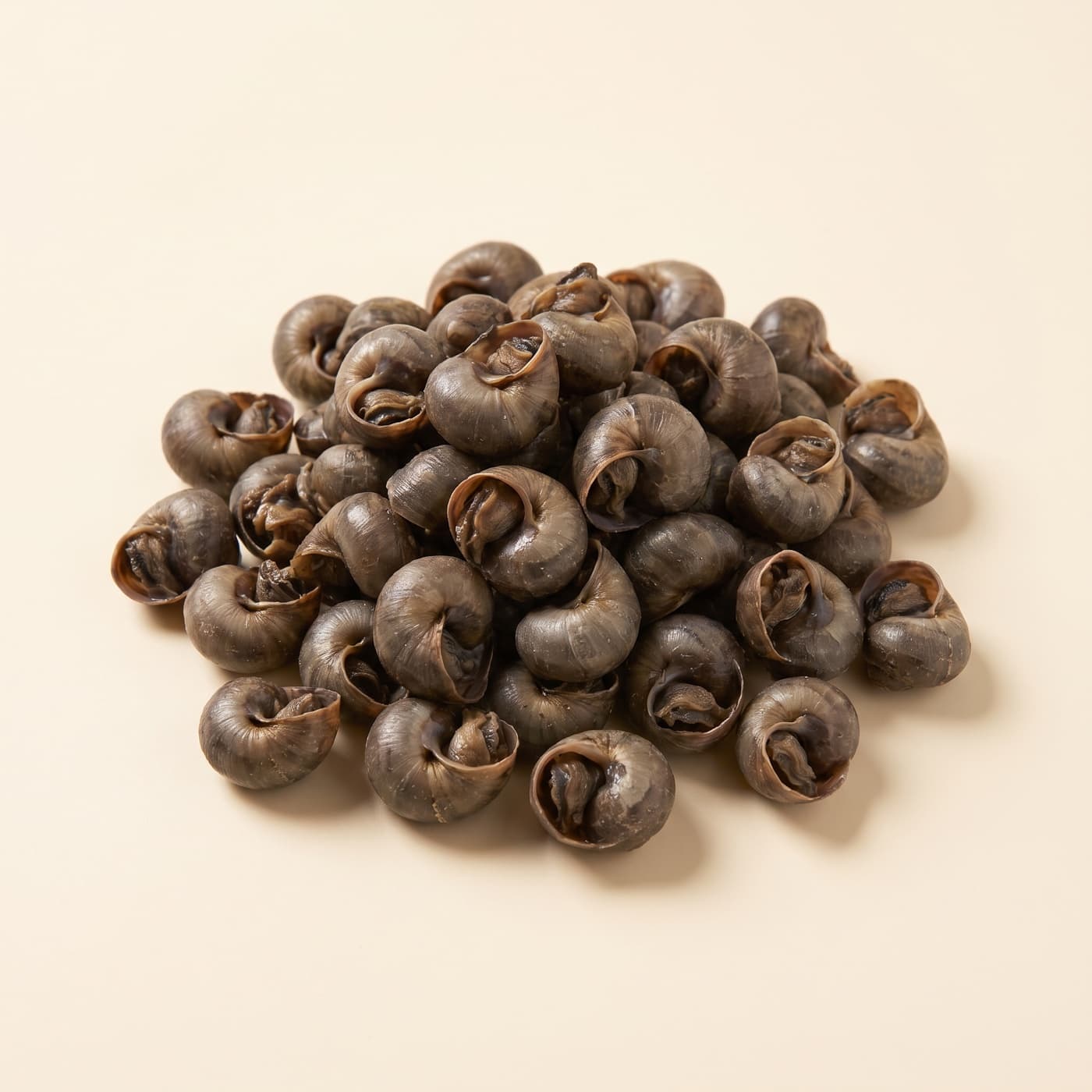 Escargot DEMI GROSSEUR boite 4/4